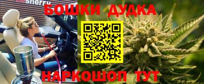 шишки Усть-Илимск