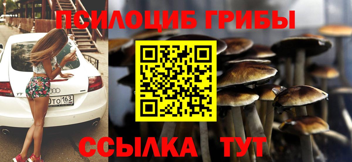 Псилоцибиновые грибы Psilocybine cubensis Алатырь