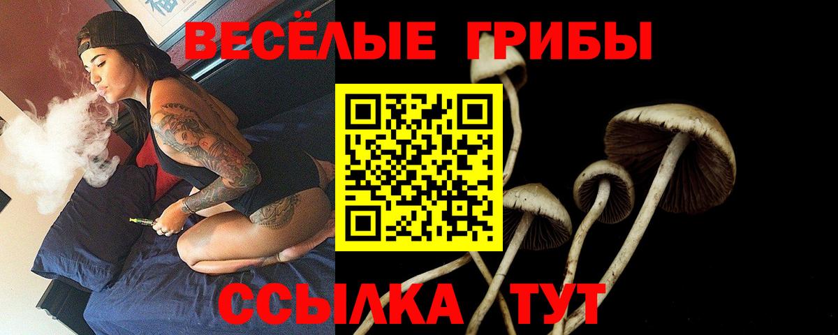 хочу наркоту  Вход с VPN  Алатырь  Псилоцибиновые грибы Psilocybe 